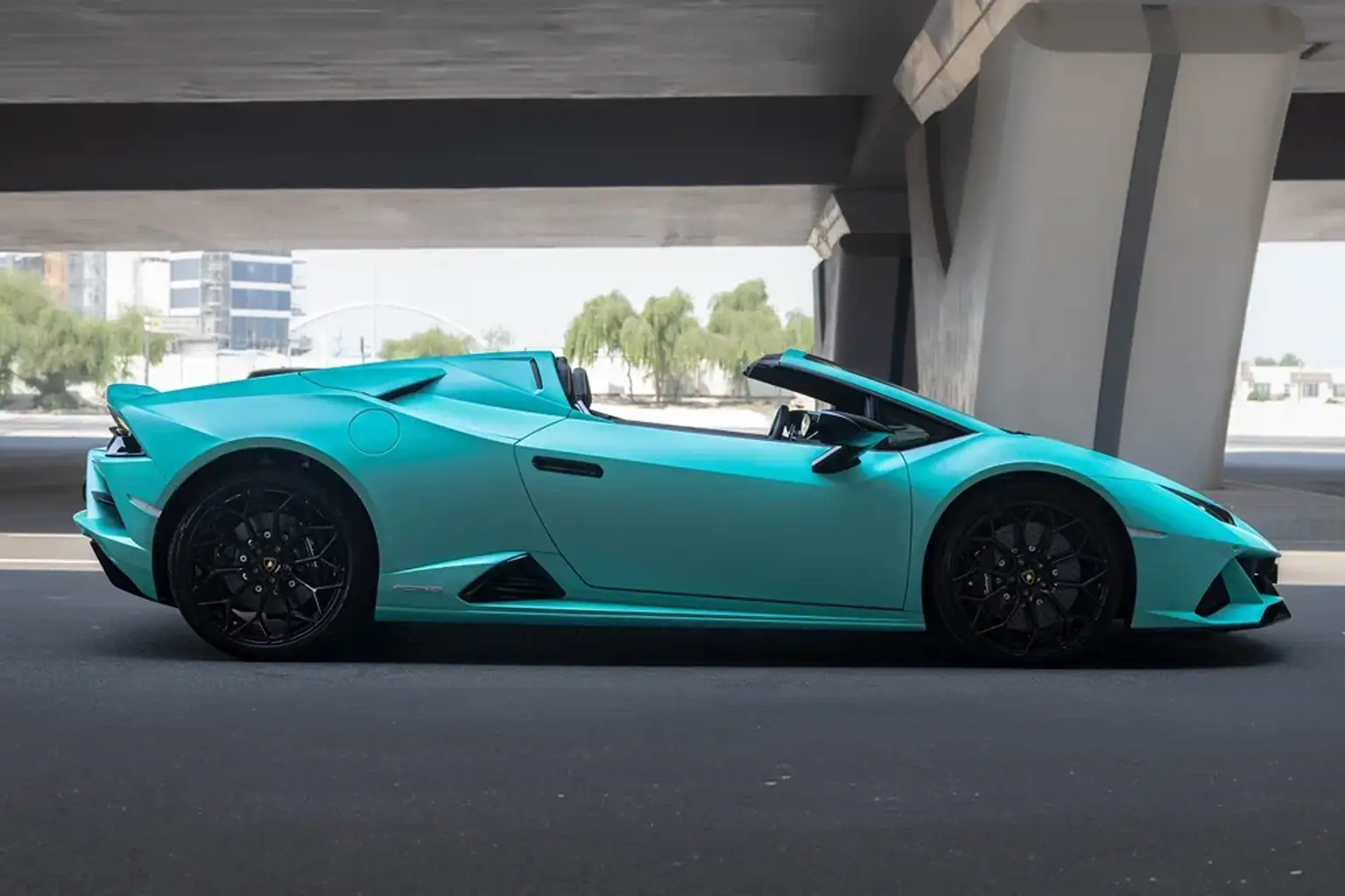lambo tiffany c